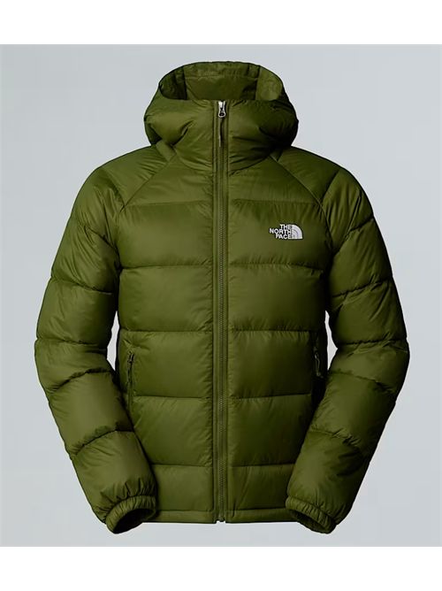 HYDRENALITE THE NORTH FACE | NF0A5GIEBRI1GREEN